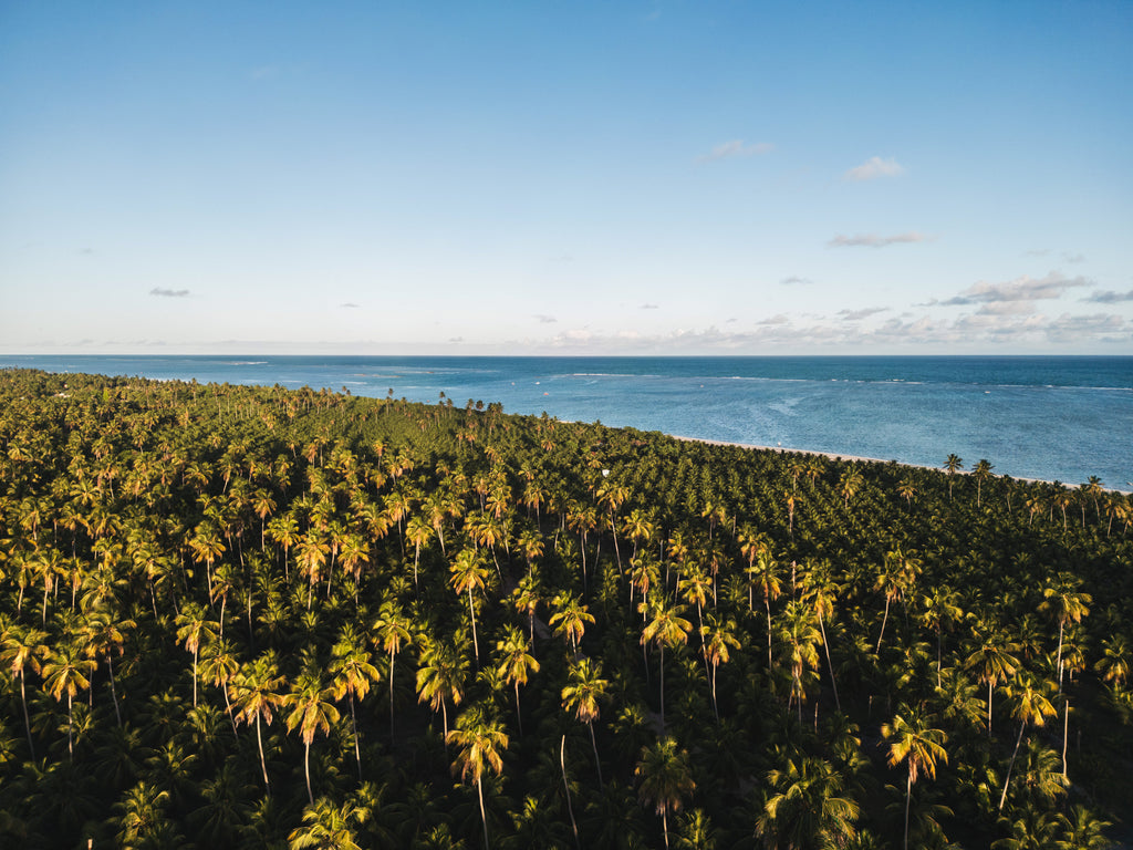 Praia do Toque V