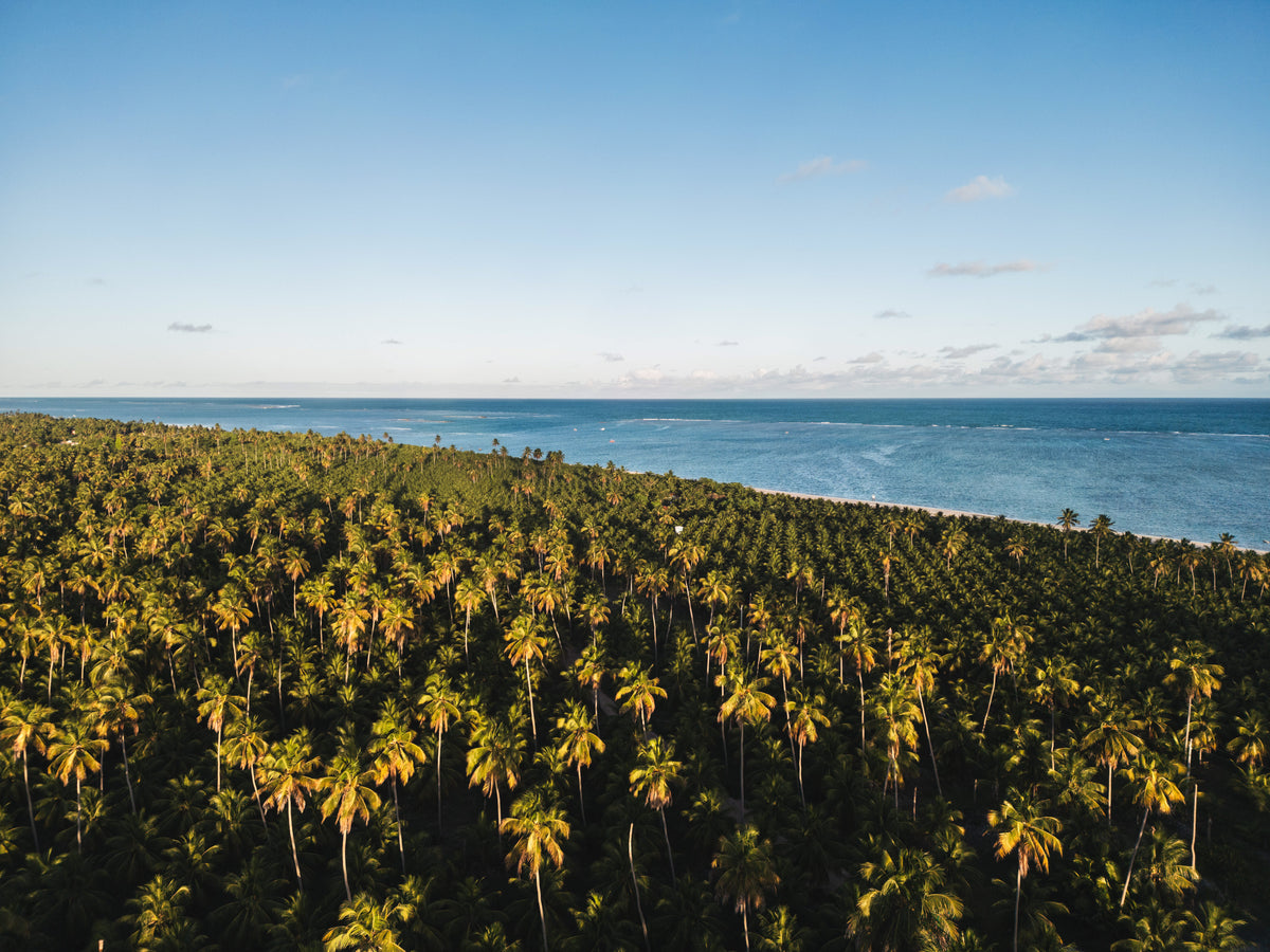 Praia do Toque V