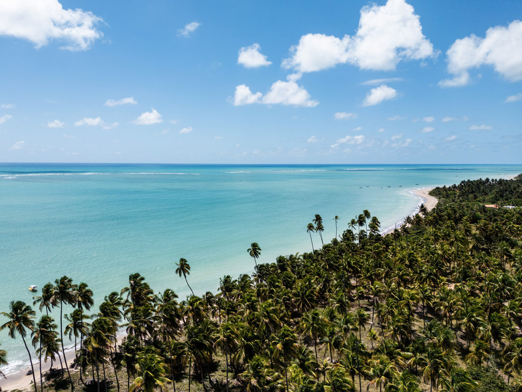 Praia do Patacho