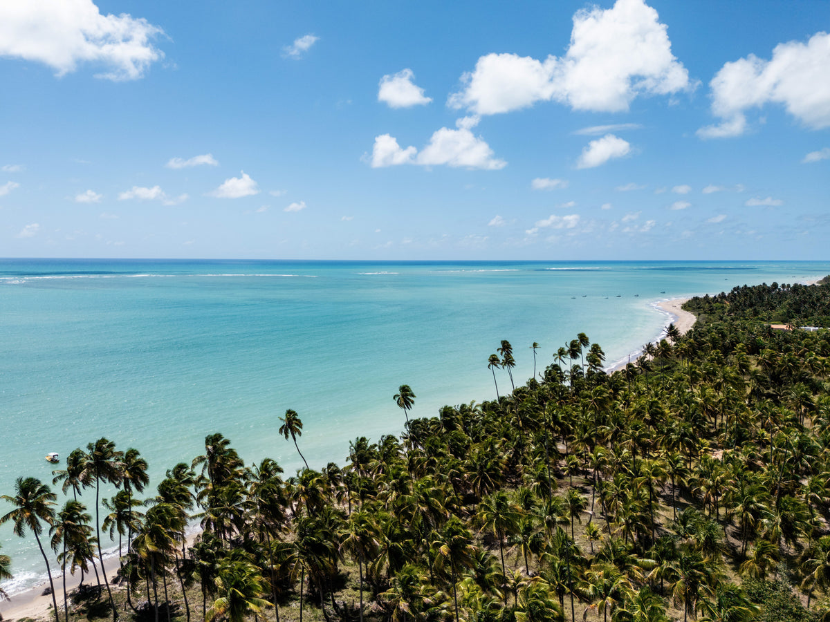 Praia do Patacho