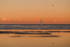 Barceloneta V