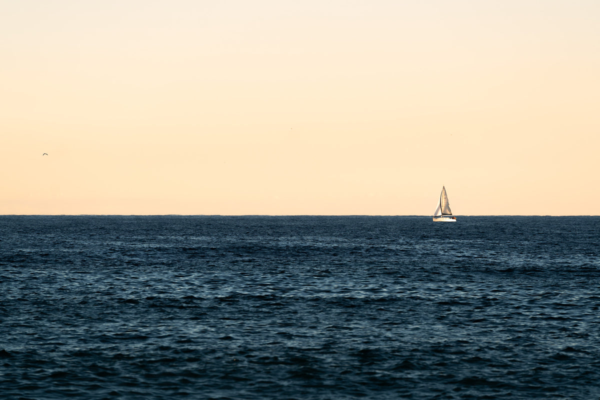Barceloneta VI
