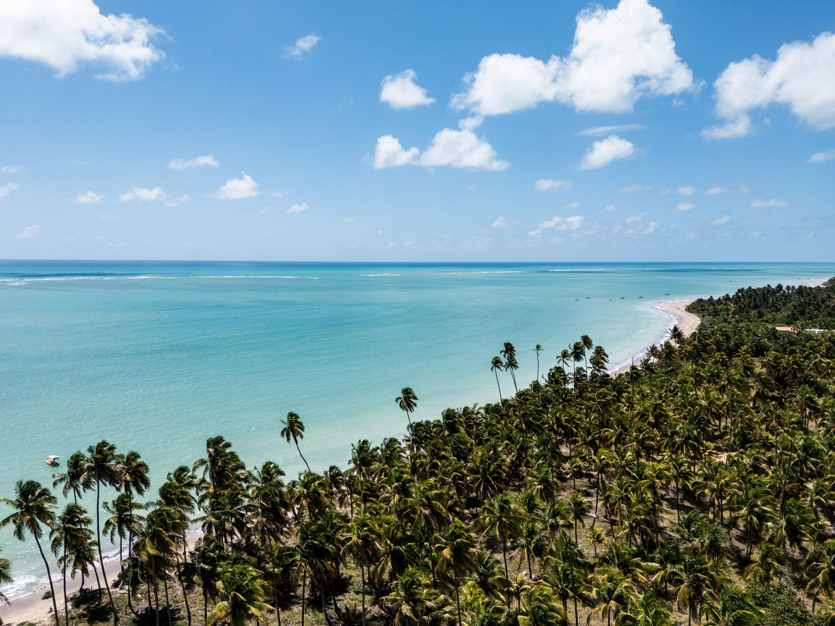 Praia do Patacho — São Miguel dos Milagres, obra de Jordana Figueira