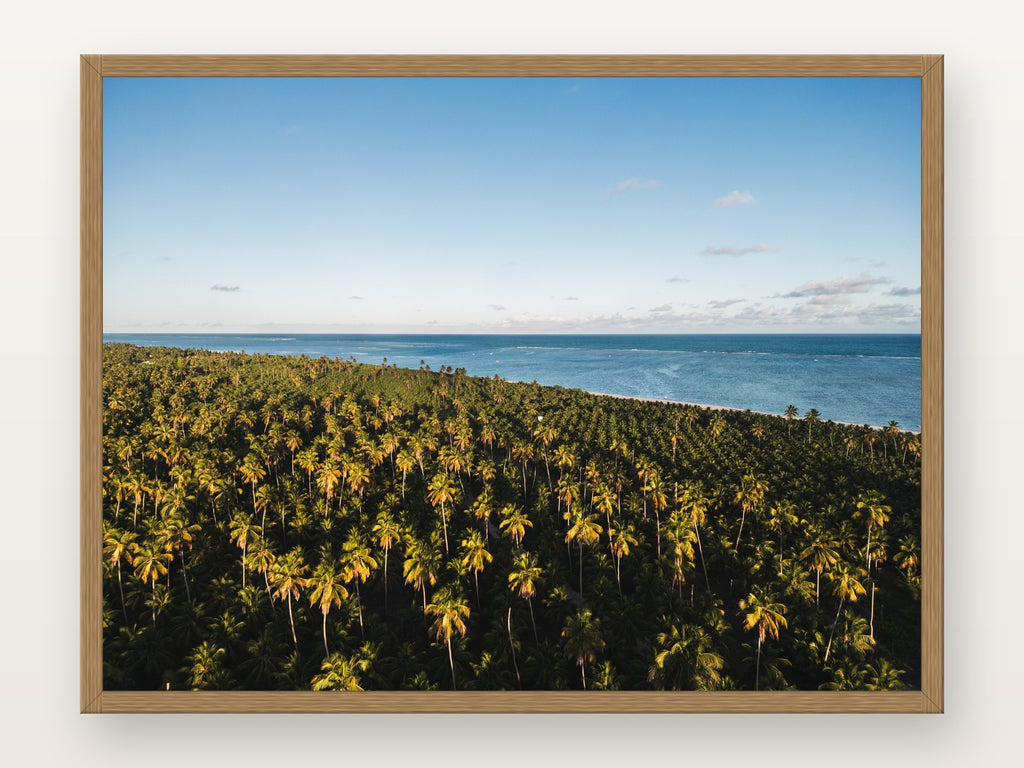 Praia do Toque V em moldura Freijó