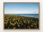 Praia do Toque V em moldura Freijó
