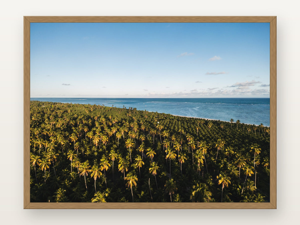 Praia do Toque V em moldura Freijó