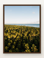 Praia do Toque VI em moldura Imbuia